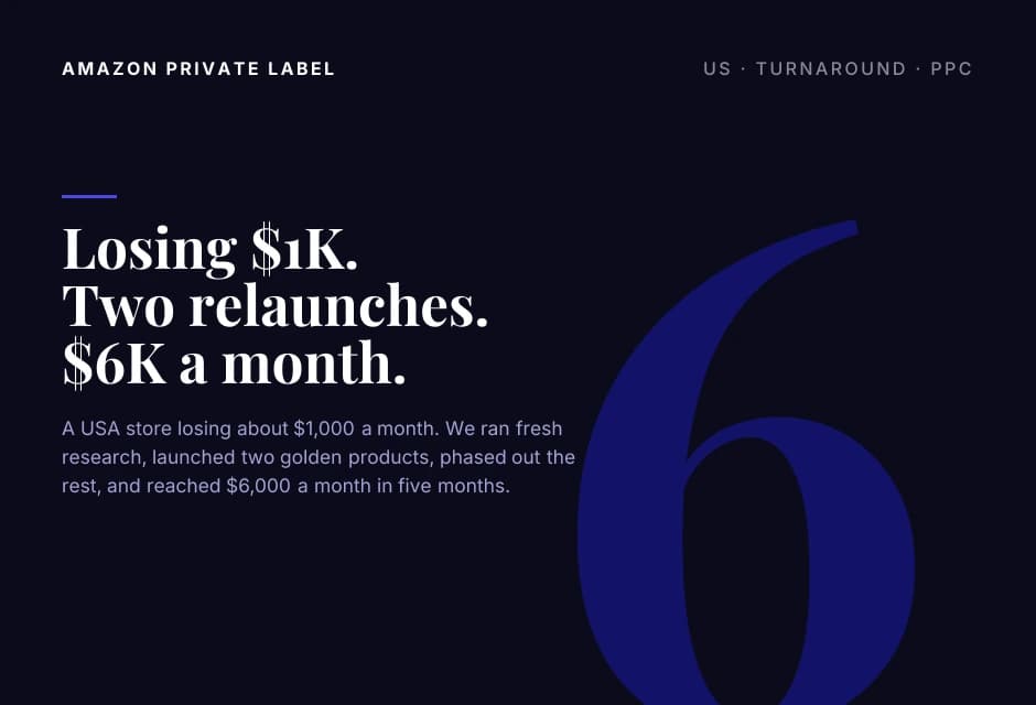 From a $1,000 Monthly Loss to $6,000 in Revenue.